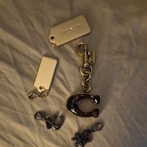 Coach Metallic Keychain Set with Charms